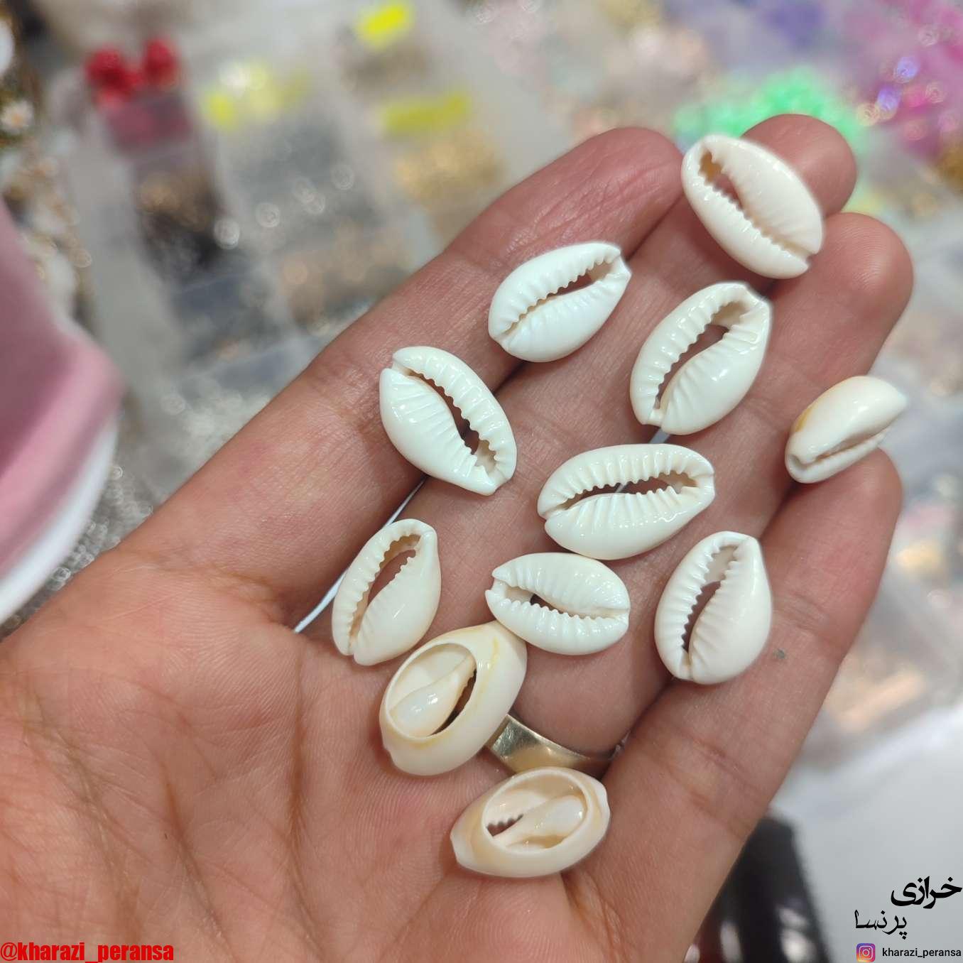 صدف براق بسته 20عددی اقتصادی