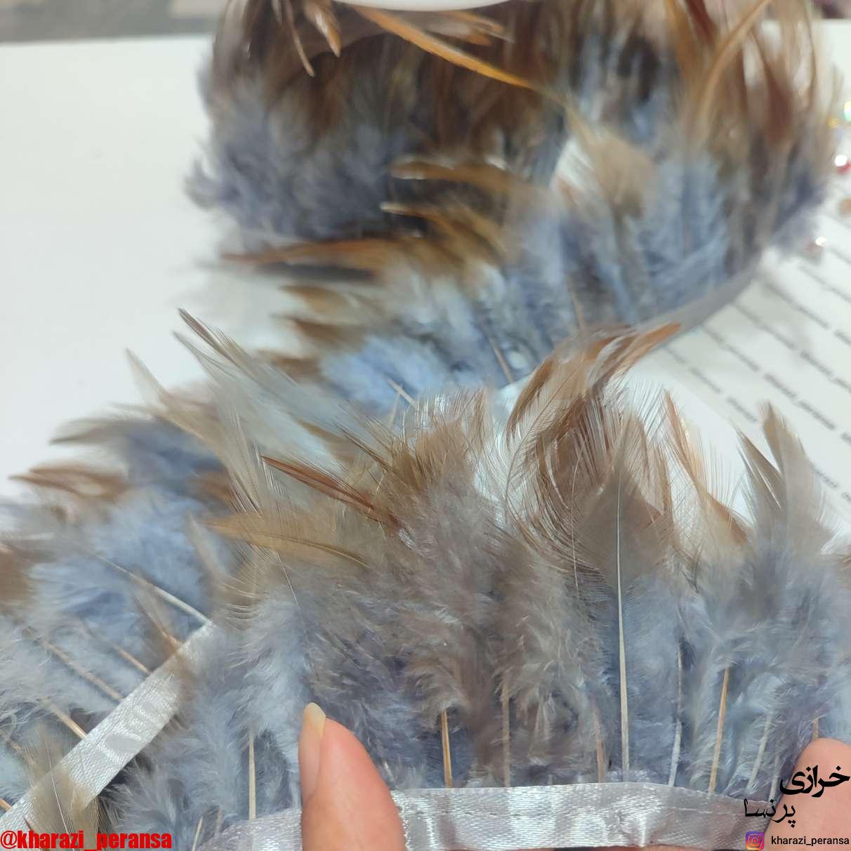 پر خروسی طوسی قهوای