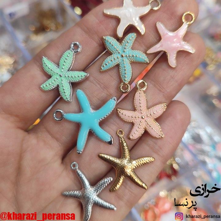 پک اقتصادی خرجکار ستاره دریایی